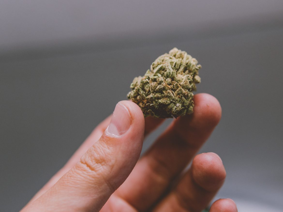 Choose from the best Canadian weeds.